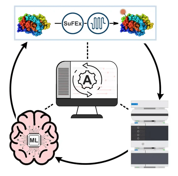 Workflow of the MMD TechHub project