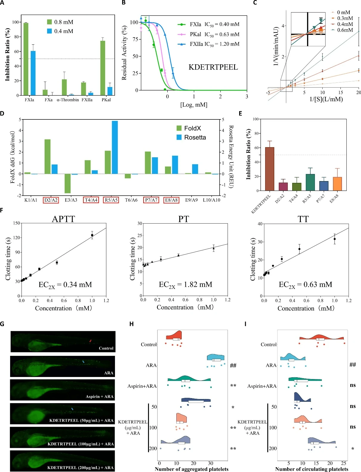 Progress in Novel Antithrombotic Peptide Research