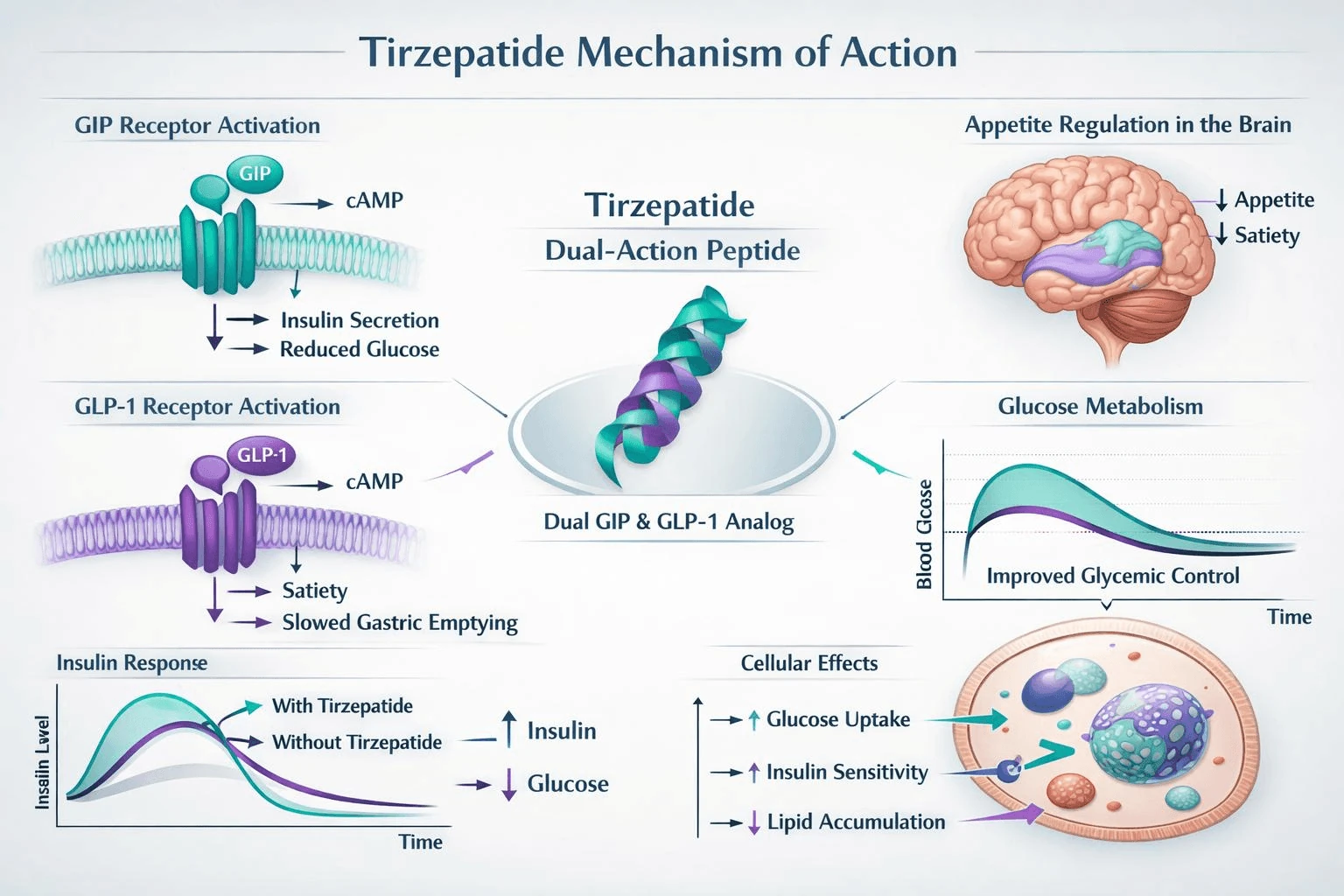 Metabolic research and pharmaceutical development laboratory