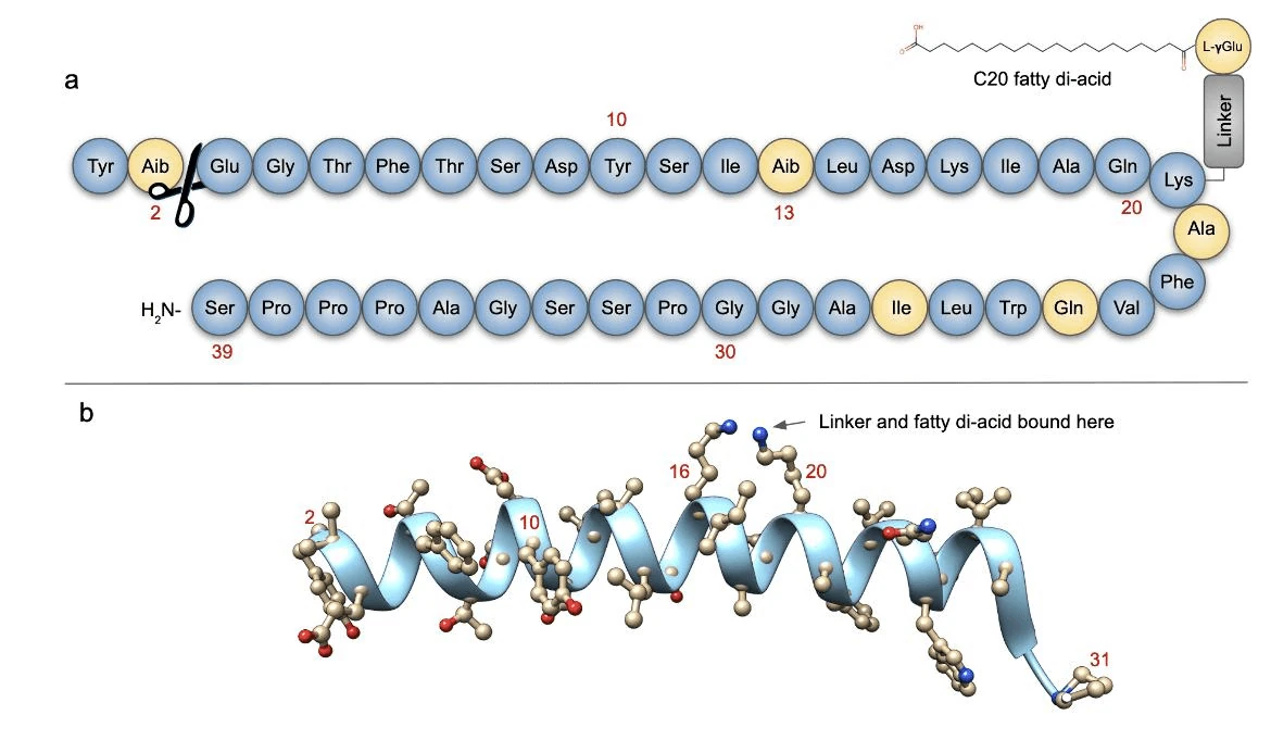 Tirzepatide molecular structure showing the peptide backbone and lipid side chain