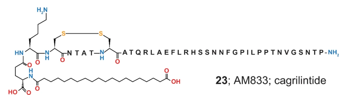 Molecular structure of cagrilintide